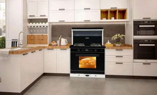 集成灶增值服務(wù)策略：打造競爭優(yōu)勢，贏得現(xiàn)代家庭青睞